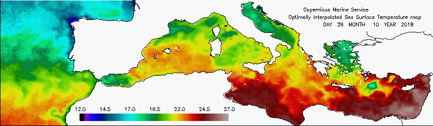 La temperatura superficiale del Mediterraneo il 29 ottobre 2018