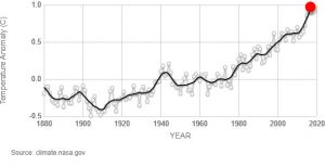 Temperature medie globali dal 1880 ad oggi. Fonte NASA/GISS